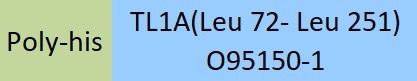 Molecular characterization: Poly-his, TL1A (Leu 72- Leu 251) O95150-1