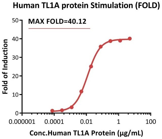 Response to human TL1A protein (FOLD). The DR3 (TL1A receptor) (Luc) Jurkat Reporter Cell was stimulated with serial dilutions of human TL1A protein (Cat.No.TLA-H5243). The max induction fold was approximately 40.12