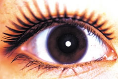 The eyes are not only a mirror of a soul, but also a medical record. Their thermal radiation can indicate a disease even before clinical signs appear.