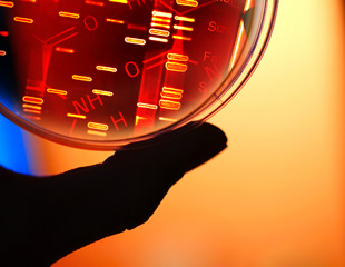 How to choose the right labels for single particle tracking in super-resolution imaging