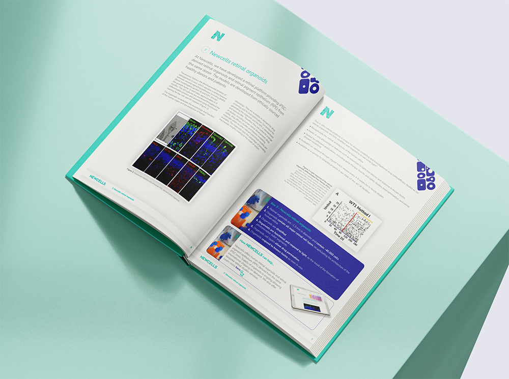 eBook on retinal organoids