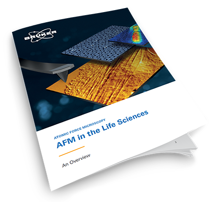 AFM, life sciences