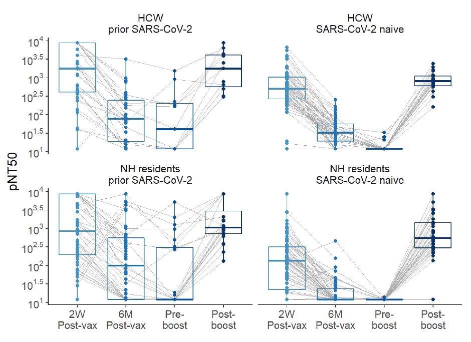 Neutralization titers over time pre- and post-boost with BNT162b2 mRNA vaccination in HCW and NH residents, with and without history of SARS-CoV-2. Pseudovirus neutralization (pNT50) values are shown. The upper limit of detection of the assay is 1:8748 and the low limit of detection of the neutralization assay is 1:12.