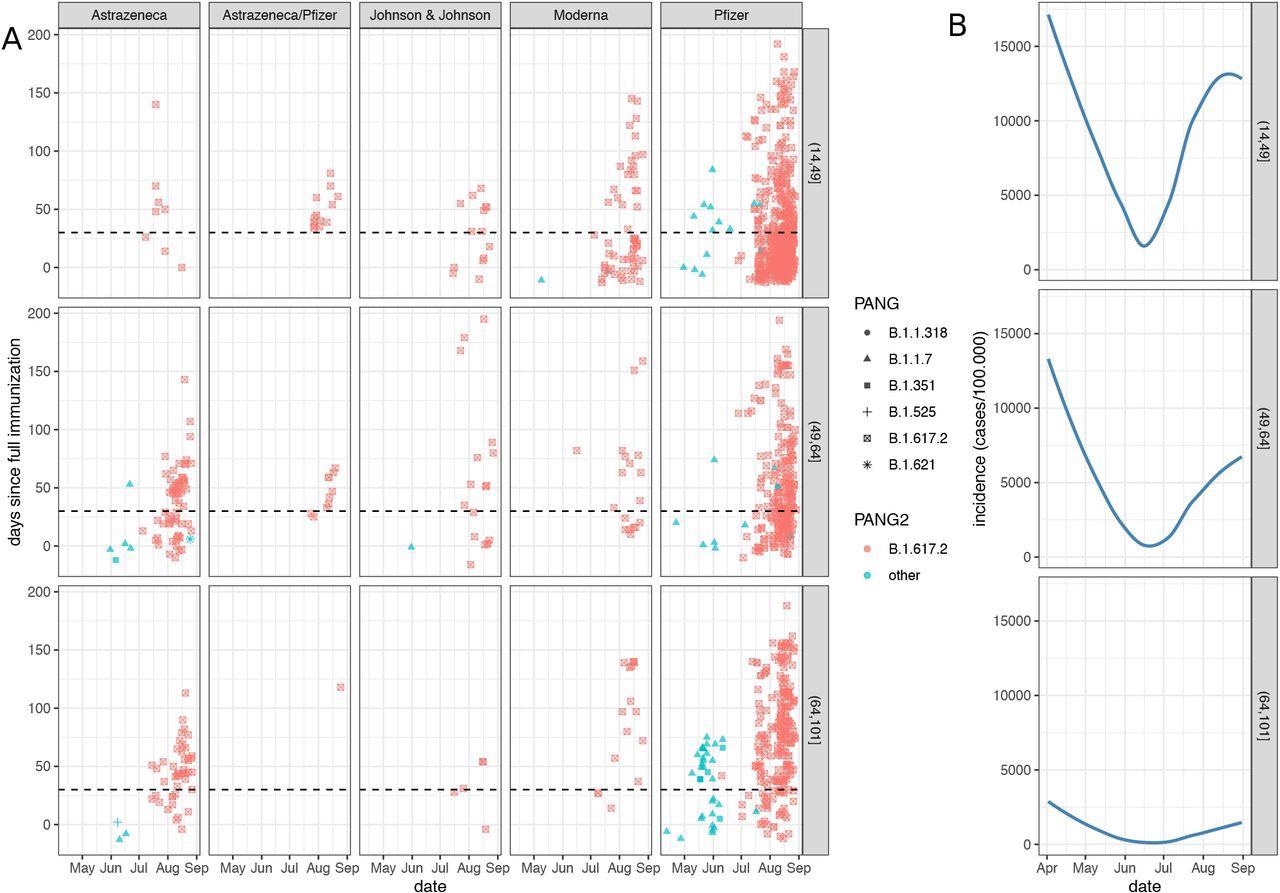 NGS-confirmed vaccine breakthrough infections in fully vaccinated individuals, April, 12th to August, 30th A. Vaccine breakthrough infections (VBI) are represented by vaccine strategy and by age group. The delay since full immunization are represented in the y-axis. The horizontal dotted lines indicate the delay of one month following the full immunization. VBI represented below these lines are defined as early VBI. Each Pango lineage determined by whole genome sequencing is represented by a symbol. Lineage B.1.617.2 (Delta variant) is represented in red. B. Incidence of COVID-19 cases in France is represented by age group 6.
