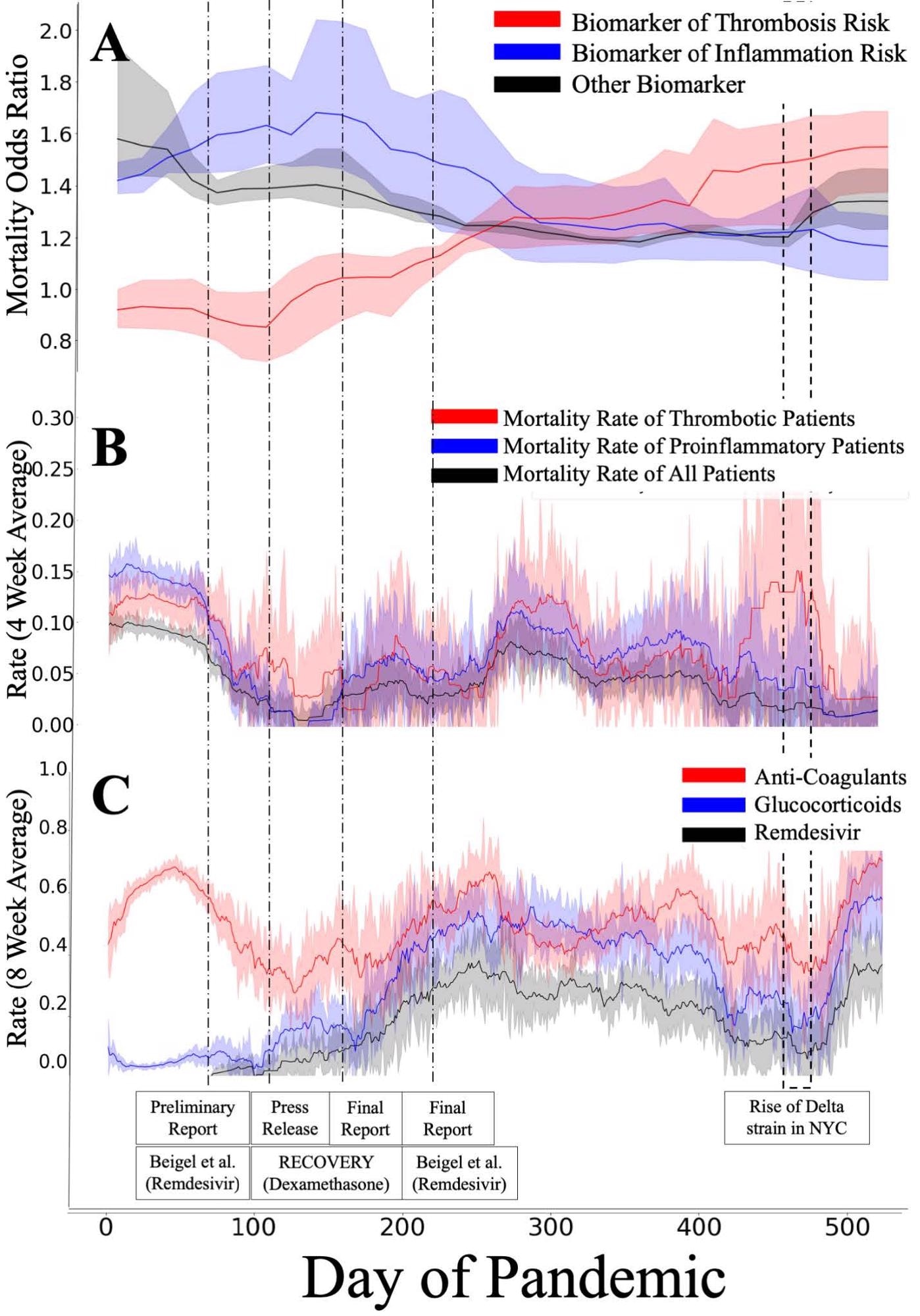(A) The predictive power of biomarkers have changed over time. Biomarkers of inflammation risk (elevated C-reactive protein, low albumin, high Neutrophil/Lymphocyte ratio) were initially powerful predictors of in-hospital mortality, but have become less predictive over time. In contrast, biomarkers of thrombosis risk (elevated D-Dimer, elevated hematocrit) are more predictive of mortality in August 2021 than during March 2020. This suggests that the successful treatment of patients hospitalized with indicators of thrombosis risk has lagged behind the treatment of other groups. (B) The in-hospital mortality rate has decreased over time for all patients, but at a reduced rate for patients satisfying at least one biomarker rule for thrombosis risk. (C) Treatment protocols have changed over time, with a trend toward glucocorticoid and anticoagulant prescription (overwhelmingly prophylactic heparin) for the majority of patients. We mark the dates of several important publications and the rise of the Delta strain in NYC.