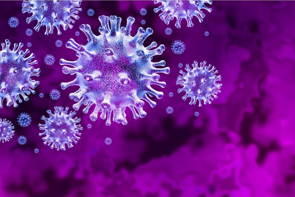 Study: Mucosal and systemic responses to SARS-CoV-2 vaccination in infection naïve and experienced individuals. Image Credit: Lightspring/Shutterstock