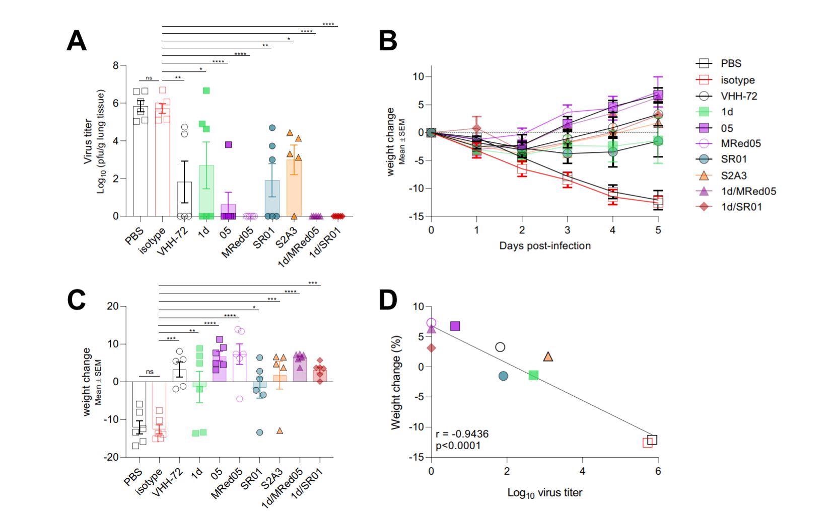 VHH-Fcs showed strong protective efficacy in hamsters challenged with SARS-CoV-2.