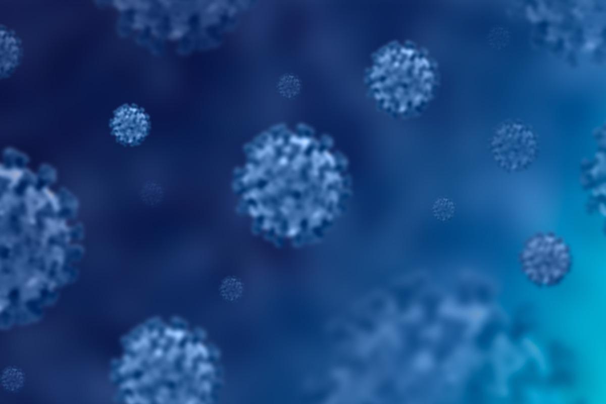 Study: SARS-CoV-2 Omicron-B.1.1.529 Variant leads to less severe disease than Pango B and Delta variants strains in a mouse model of severe COVID-19. Image Credit: PrinceJoy/Shutterstock