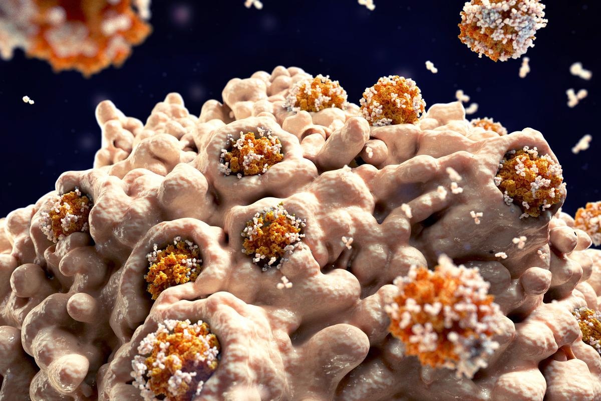 Study: Covalent coupling of Spike’s receptor binding domain to a multimeric carrier produces a high immune response against SARS-CoV-2. Image Credit: Juan Gaertner/Shutterstock