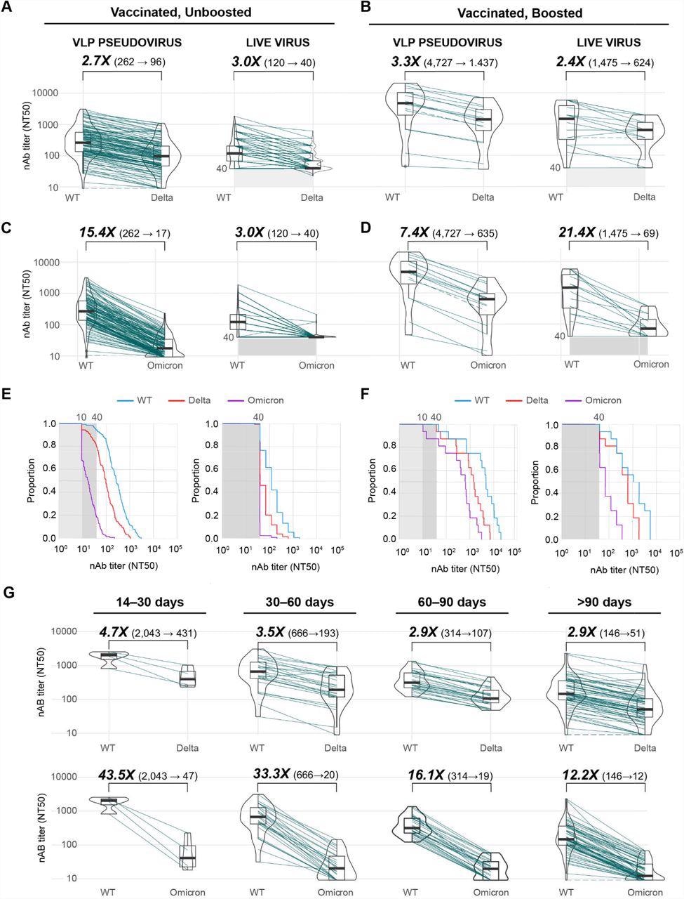 Neutralizing antibody levels in fully vaccinated, uninfected individuals. (A, B) Box-violin plots showing median neutralizing antibody titers using VLP (left) and live virus (right) assays against the SARS-CoV-2 WA-1 ancestral lineage (wild-type, or “WT”) and Delta variant in vaccinated, unboosted (A) and vaccinated, boosted (B) individuals (C, D) Box-violin plots of titers against the WT and Omicron variant in vaccinated, unboosted (C) and vaccinated, boosted (D) individuals. (E, F) Cumulative distribution function plots of titers to WT, Delta, and Omicron using VLP (left) and live virus (right) assays in vaccinated, unboosted (E) and vaccinated, boosted (F) individuals, showing the proportion of samples at or above a given titer. (G) Longitudinal box-violin plots of VLP titers to Delta (top) and Omicron (bottom) stratified by time ranges following completion of a primary vaccine series.