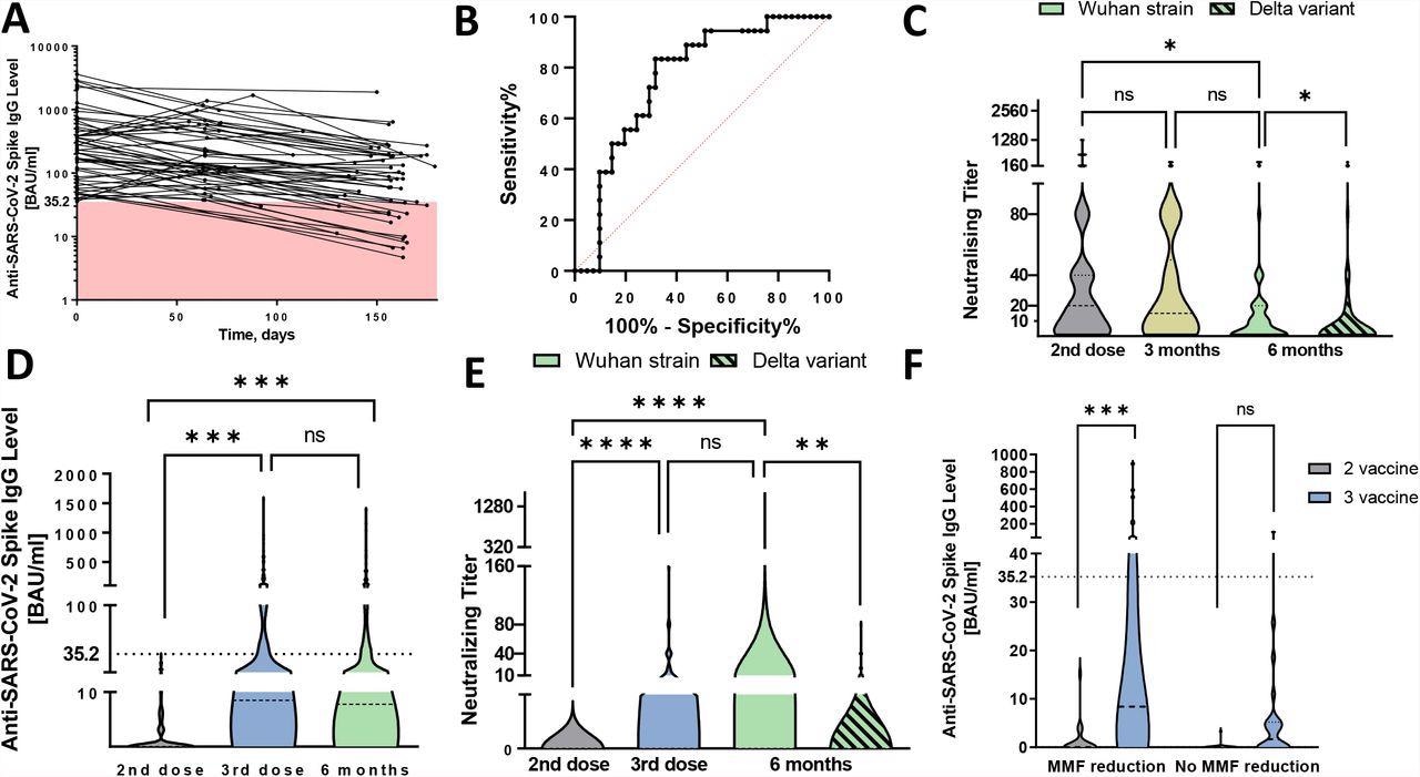Antibody waning and humoral response to third SARS-CoV-2 vaccination among kidney transplant recipients. A Waning of anti-SARS-CoV-2 spike subunit S1 antibodies among 60 seropositive kidney transplant recipients (KTRs) after the first two vaccination over the follow-up period. The red-colored space highlights antibody levels lower than the cut-off for seropositivity (<35.2 BAU/ml). B Receiver operating characteristics (ROC) curve for antibody level with respect to serological patient status at six-month visit with AUC being 0.763 (95% CI 0.639–0.887),