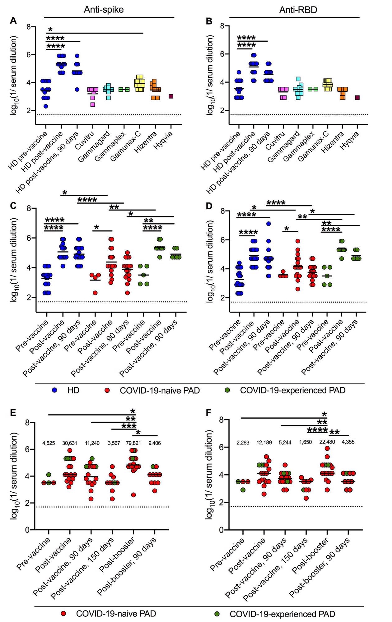 Anti-spike and anti-RBD titers following primary vaccination and boosting in PAD patients. Anti-Wuhan-1 Spike (A) and RBD (B) endpoint titers in 48 lots of 6 different immunoglobulin replacement products (squares) compared to 12 HD (blue circles) before, 14 days and 90 days post-completion of BNT162b2 vaccine series. Anti-Wuhan-1 spike (C) and RBD (D) endpoint titers in HD (n = 20; blue circles), COVID-19-naive (n = 18; red circles) and COVID-19-experienced (n = 9; green circles) PAD patients before, or 14 and 90 days post-completion of mRNA (BNT162b2, n = 19 or mRNA-1273, n = 8) vaccination series. Anti-Wuhan-1 Spike (E) and RBD (F) endpoint titers in COVID-19-naive (n = 14; red circles) and COVID-19-experienced (n = 3; green circles) PAD patients before (n = 4), 14 or 28 (n = 17), 90 (n = 16) and 150 (n = 10) days post-completion of primary mRNA (BNT162b2 n = 13, mRNA-1273 n = 2) or Ad26.COV2.S (n = 2) vaccine series, and 14 (n = 17) days and 90 (n = 10) days post-booster with mRNA vaccine (BNT162b2 n = 15; or mRNA-1273 n = 2). Dotted black line represents the limit of detection. Numbers above graphed data (E-F) represent the geometric mean titer (GMT) for each time point. One-way ANOVA with Dunnett’s post-test; Bars indicate mean values; Only significant differences are shown: *, P < 0.05; **, P < 0.01; ***, P < 0.001; ****, P < 0.0001).