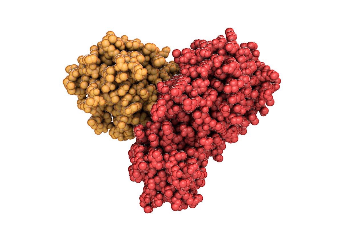 Study: Comprehensive fitness landscape of SARS-CoV-2 Mpro reveals insights into viral resistance mechanisms. Image Credit: Kateryna Kon/Shutterstock