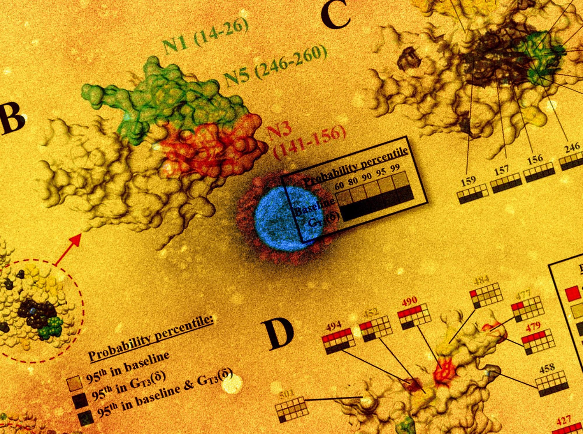 Study: Patterns of Volatility Across the Spike Protein Accurately Predict the Emergence of Mutations within SARS-CoV-2 Lineages. Image Credit: NIAID