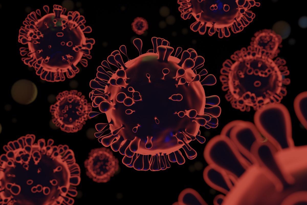 Study: Amplification Artifact in SARS-CoV-2 Omicron Sequences Carrying P681R Mutation, New York, USA. Image Credit: Chollasit Lertpanyanuch/Shutterstock