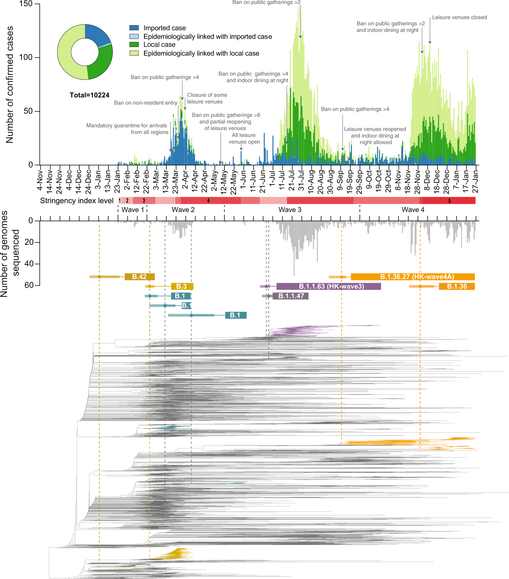 Confirmed cases (above) and sequenced genomes (below) are shown as bar charts across the four pandemic waves. Control-measure stringency applied in Hong Kong is based on the Oxford COVID-19 Government Response Tracker17. Red shaded bars delineate five levels of control-measure stringency in Hong Kong (Level 1: <40; level 2 : 40-50; level 3: 50-60; level 4: 60-70; level 5: >70). Time-scaled phylogeny of representative genomes from Hong Kong (n = 610) and overseas regions (n = 1,538) shows monophyletic clades containing at least five community cases in Hong Kong. The two largest Hong Kong lineages during HK-wave3 and HK-wave4A, B.1.1.63 and B.1.36.27, were subsampled to 100 and 65 sequences, respectively.