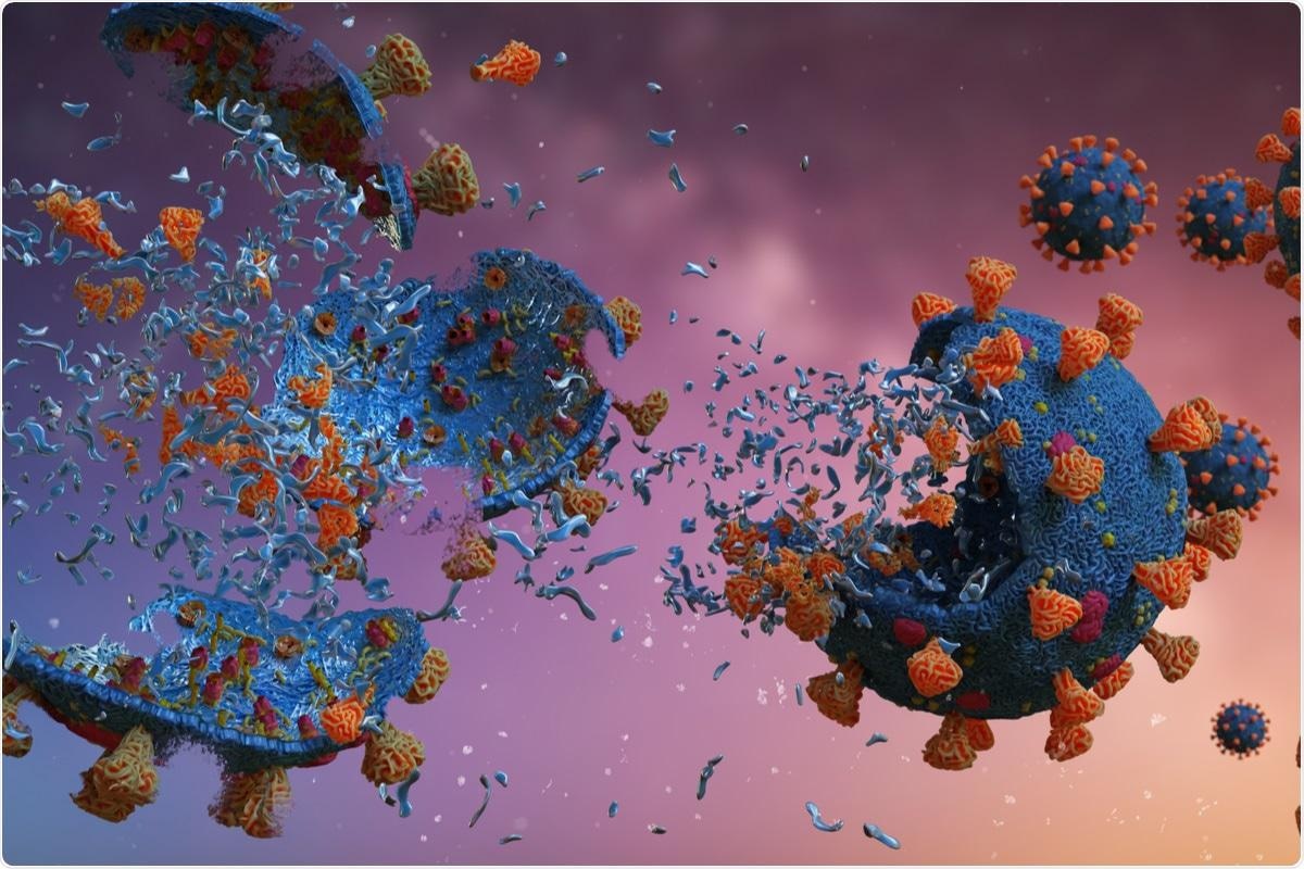 Study: SARS-CoV-2 antibodies protect against reinfection for at least 6 months in a multicentre seroepidemiological workplace cohort. Image Credit: Dotted Yeti / Shutterstock.com