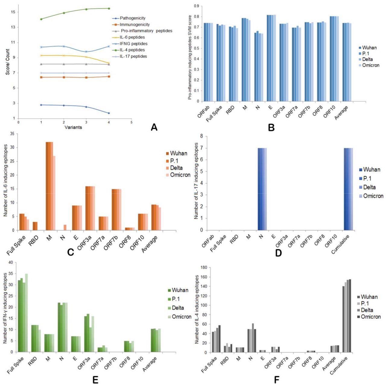 A) Overall pathogenic, immunogenic, IFNs, and ILs induction abilities of four SARS-CoV-2 variants. B) Pro-inflammatory epitope production scores of four variants. C) IL-6 inducing epitope counts of four variants. D) IL-17 inducing epitope counts of four variants. E) Number of IFN-γ inducing epitopes by four variants. F) Number of IL-4 inducing epitopes by four variants.