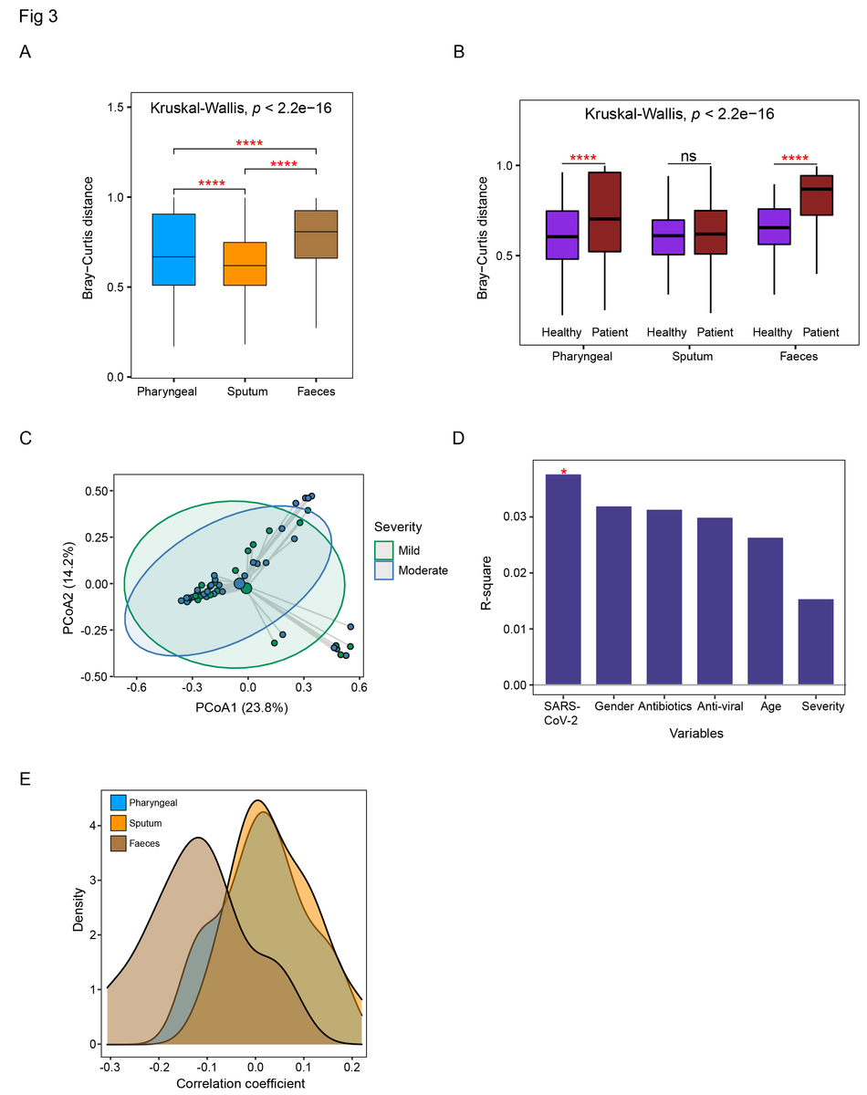 Comparison of the dysbiosis patterns of microbial composition in respiratory tract and gut samples. (A) Comparison of Bray-Curtis distance between patients and healthy controls in three sample types. (B) Comparison of the within-patient and within-healthy control Bray-Cutis distance in three sample types. (C) PCoA analysis of the microbial composition in faeces samples from mild and moderate patients. (D) PERMANOVA test to identify meta factors potentially associated with the microbial composition in faeces samples from mild and moderate patients. (E) Distribution of the correlation coefficients between SARS-CoV-2 and representative species in three sample types. Kruskal-Wallis test was used for multiple-group comparison and Wilcox rank-sum test was used for post-hoc two-group comparison.