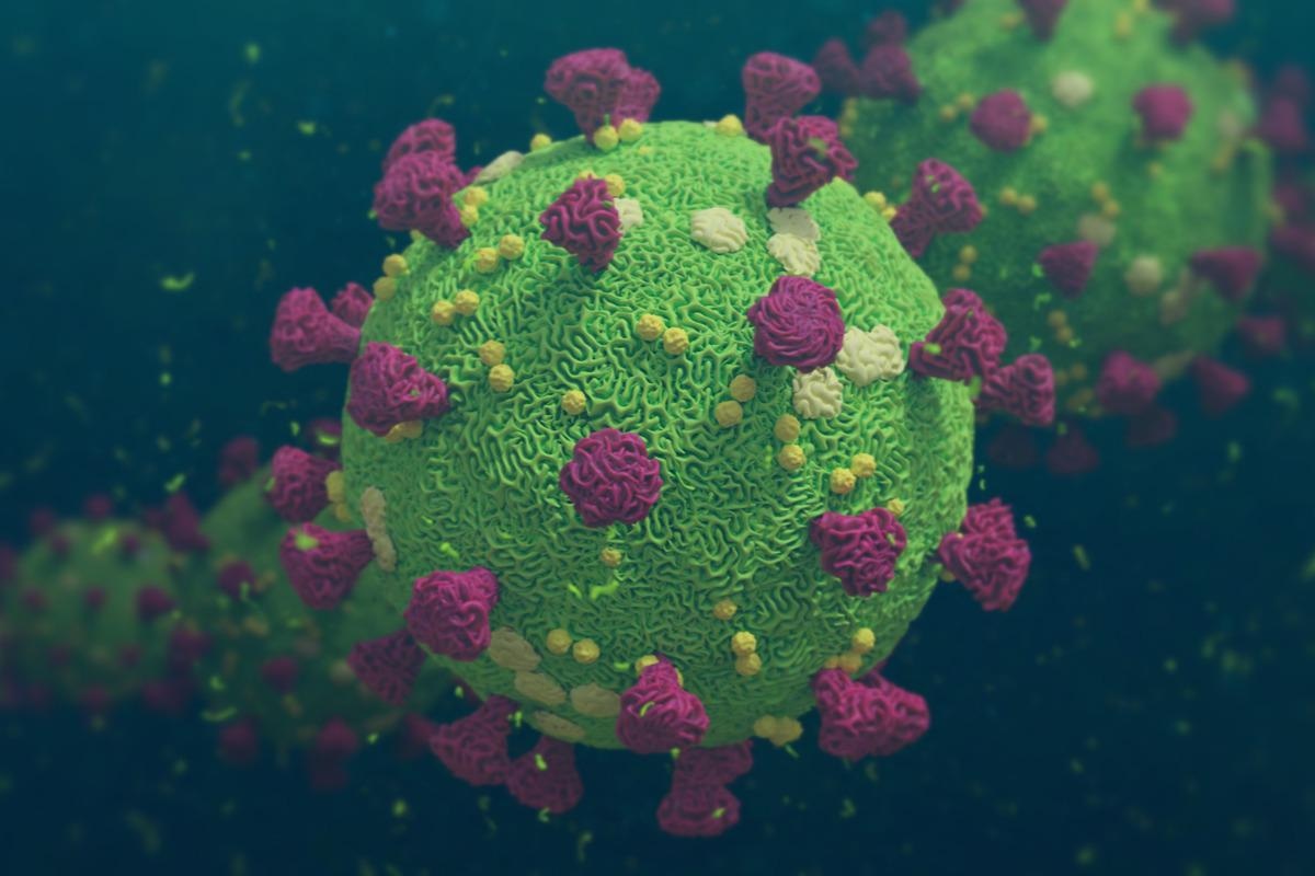 Study: COVID-19 patients have increased levels of membrane-associated and soluble CD48. Image Credit: Dotted Yeti/Shutterstock