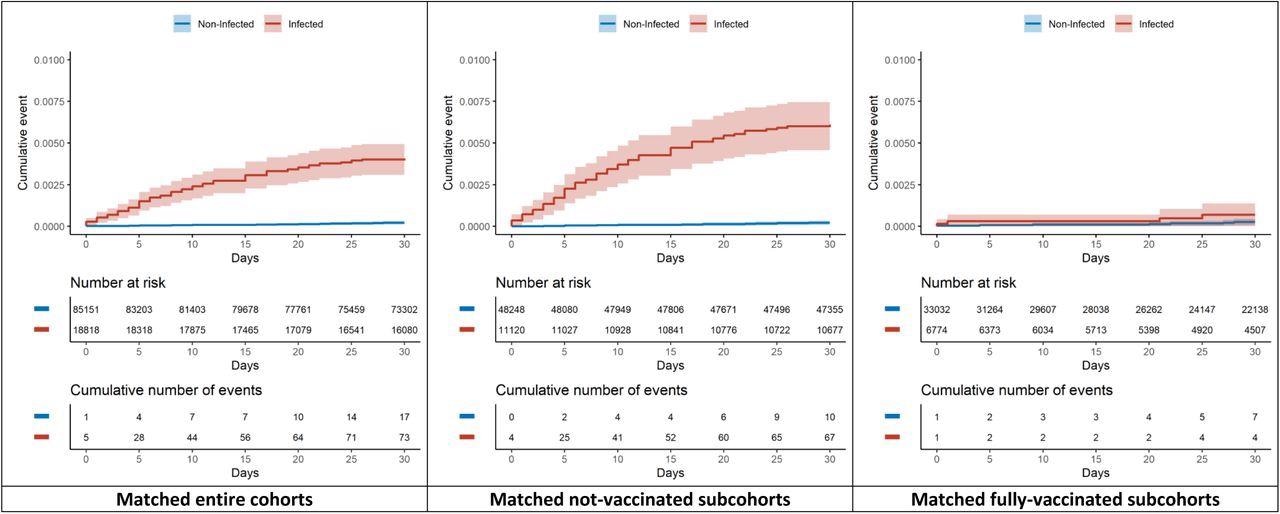 Cumulative incidence curves of venous thromboembolic events within 30 days.