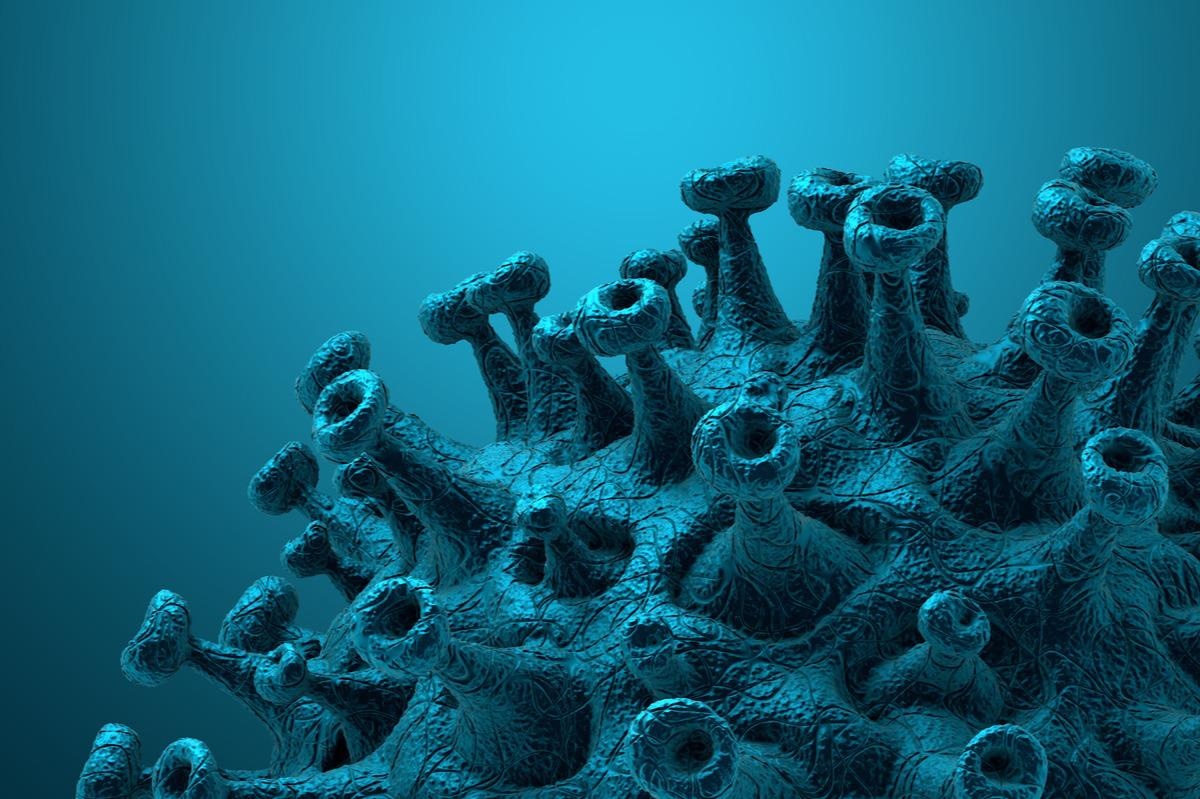 Study: Whole-body metabolic modelling predicts isoleucine dependency of SARS-CoV-2 replication. Image Credit: CROCOTHERY/Shutterstock