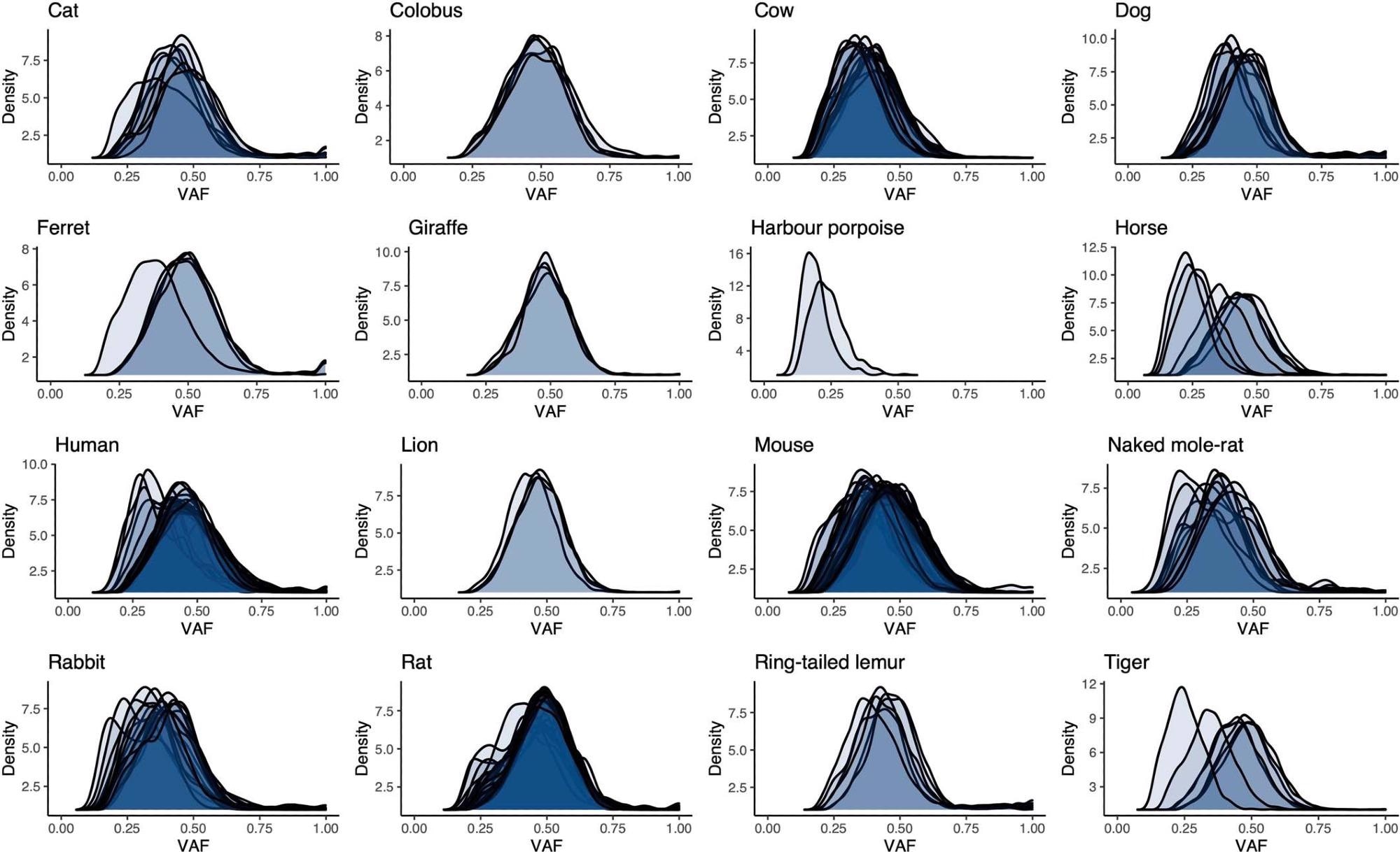 Distributions of variant allele fraction (VAF) for somatic substitutions in each crypt for each species. Each distribution refers to the variants in a single sequenced crypt.