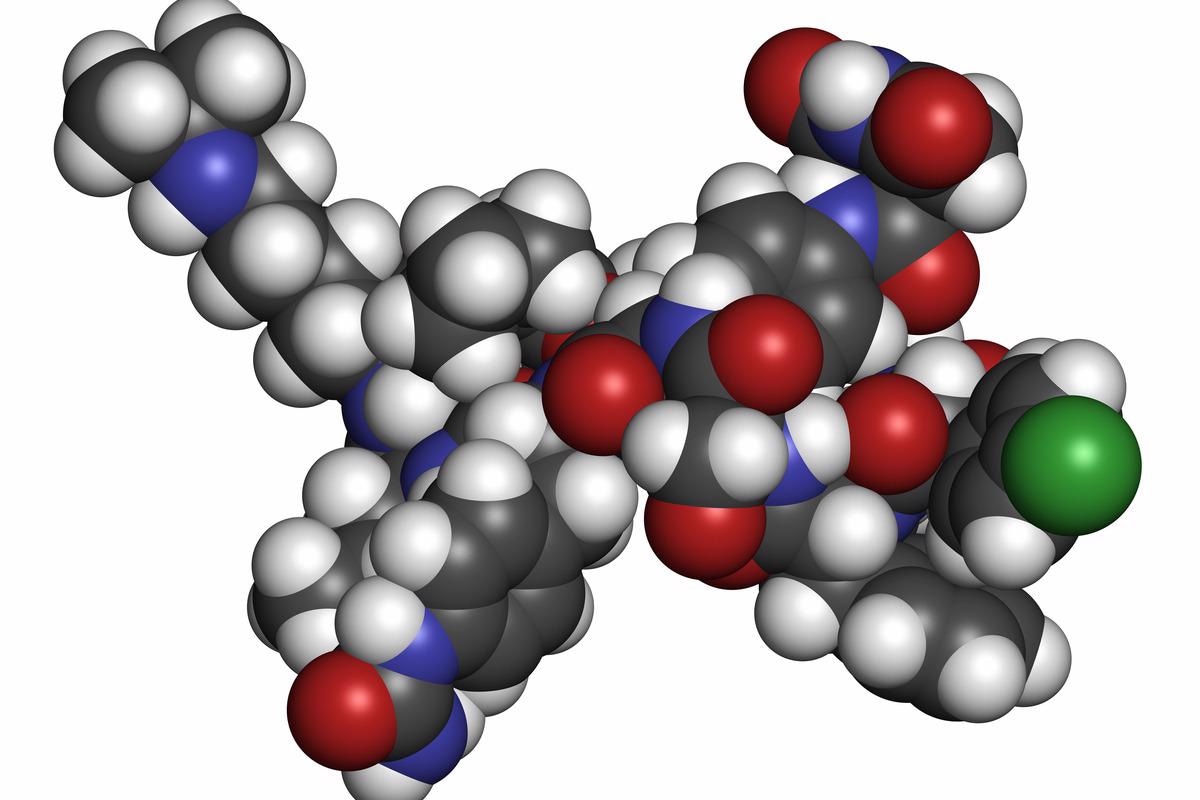 Study: Effect of Androgen Suppression on Clinical Outcomes in Hospitalized Men With COVID-19. Image Credit: StudioMolekuul/Shutterstock