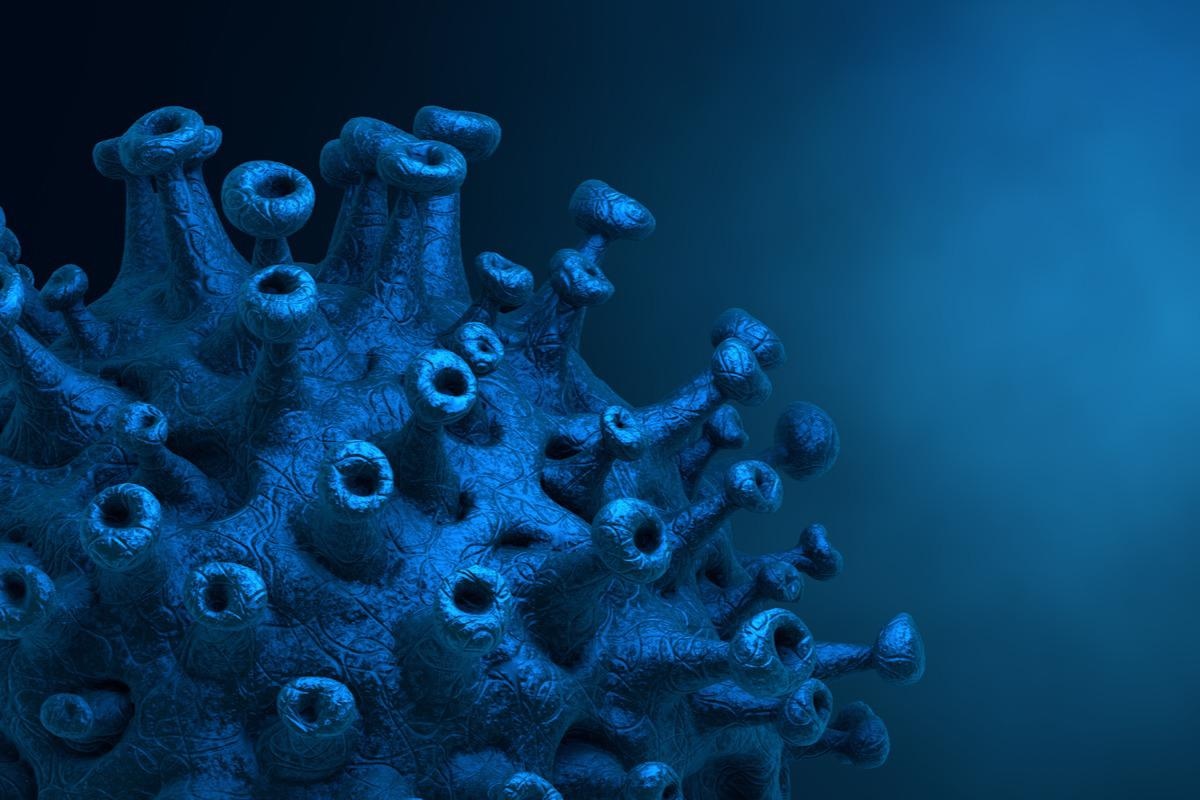 Study: Anti-SARS-Cov-2 S-RBD IgG formed after BNT162b2 vaccination can bind C1q and activate complement. Image Credit: CROCOTHERY/Shutterstock