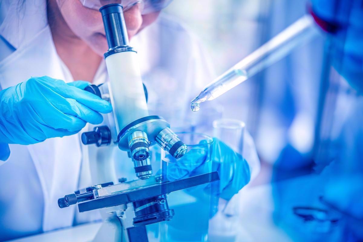 Image Credit: Rachaphak/Shutterstock.com