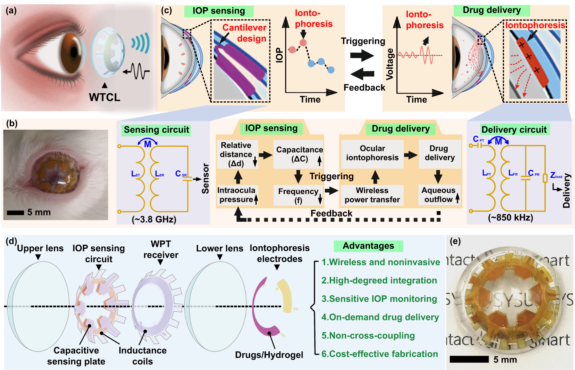 a Schematic of the WTCL for wireless IOP monitoring and administration. b Photograph of WTCL worn on the eyes of a live rabbit. c Schematic of wireless operation for the purpose of IOP monitoring and on-demand medicines administration in a minimally invasive manner. The soft device, engineered as a double-layer contact lens structure, was integrated with an LCR and a WPT receiver circuit. These modules were wirelessly connected to an external integrated antenna that could record the IOP signal and trigger iontophoresis for drug delivery if needed. Insert figures respectively highlight critical IOP sensing and drug delivery unit. d Structure of the WTCL in an exploded view. e Optical image of the WTCL.