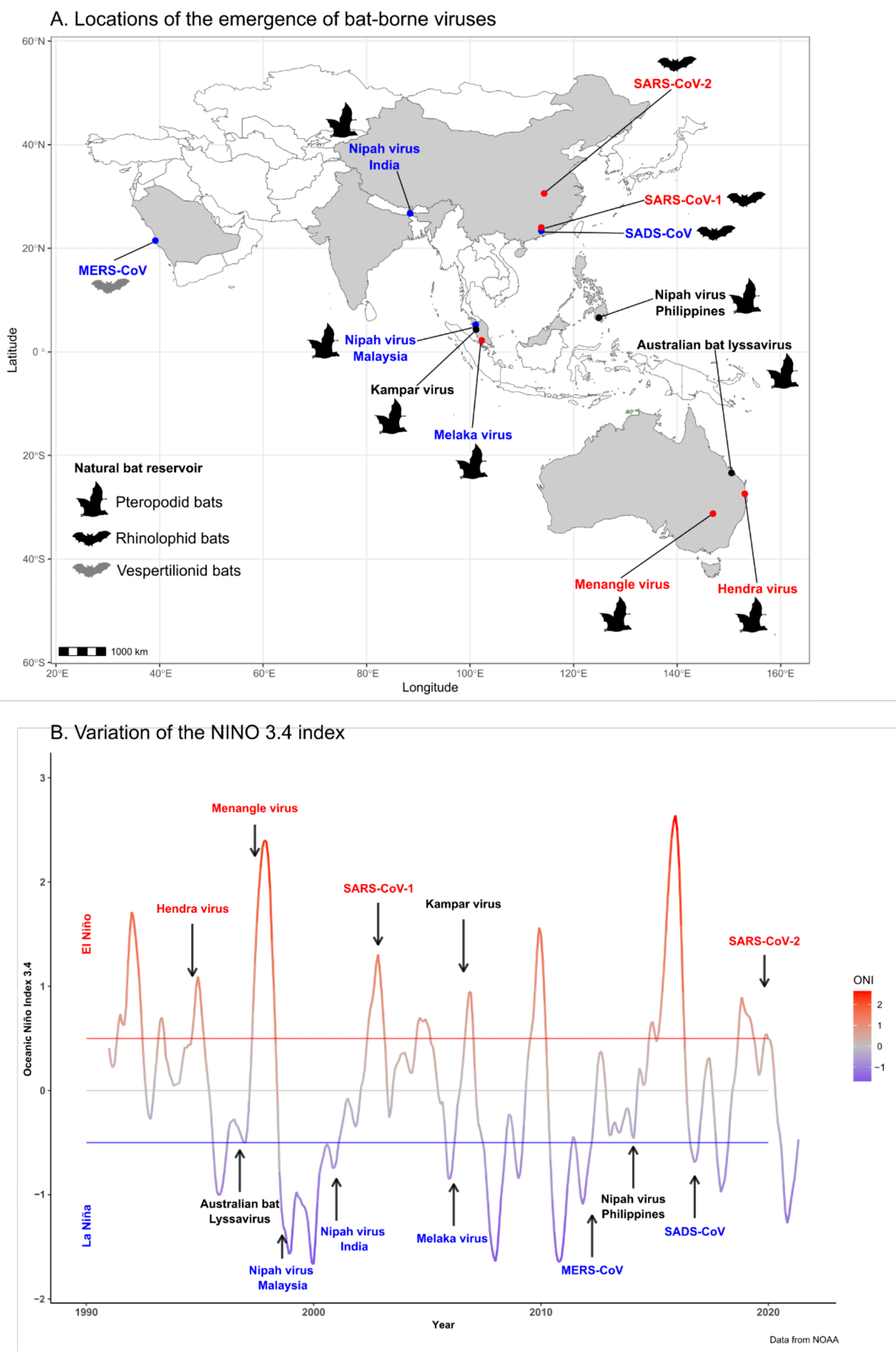(A) Map showing the locations of emergence of bat-borne viruses in the Asia–Pacific region and the Arabian Peninsula (see Table 1) and the bat reservoir of each virus. Virus names are colored according to the ENSO phase at the time of their emergence: neutral phase (black), cool-phase La Niña (blue), or warm-phase El Niño (red). (B) Variations of the NINO 3.4 index characterizing the El Niño Southern Oscillation (ENSO) retrieved from the National Oceanic and Atmospheric Administration (NOAA, https://www.noaa.gov, accessed on 17 May 2022) from 1990 to 2020. Red and blue threshold lines indicate warming El Niño or cooling La Niña climate anomalies, respectively. Arrows indicate the emergence time of new bat-borne viruses in the Asia–Pacific region and the Arabian Peninsula (see Table 1). Virus names are colored according to the ENSO phase at the time of their emergence: neutral phase (black), cool-phase La Niña (blue), or warm-phase El Niño (red).