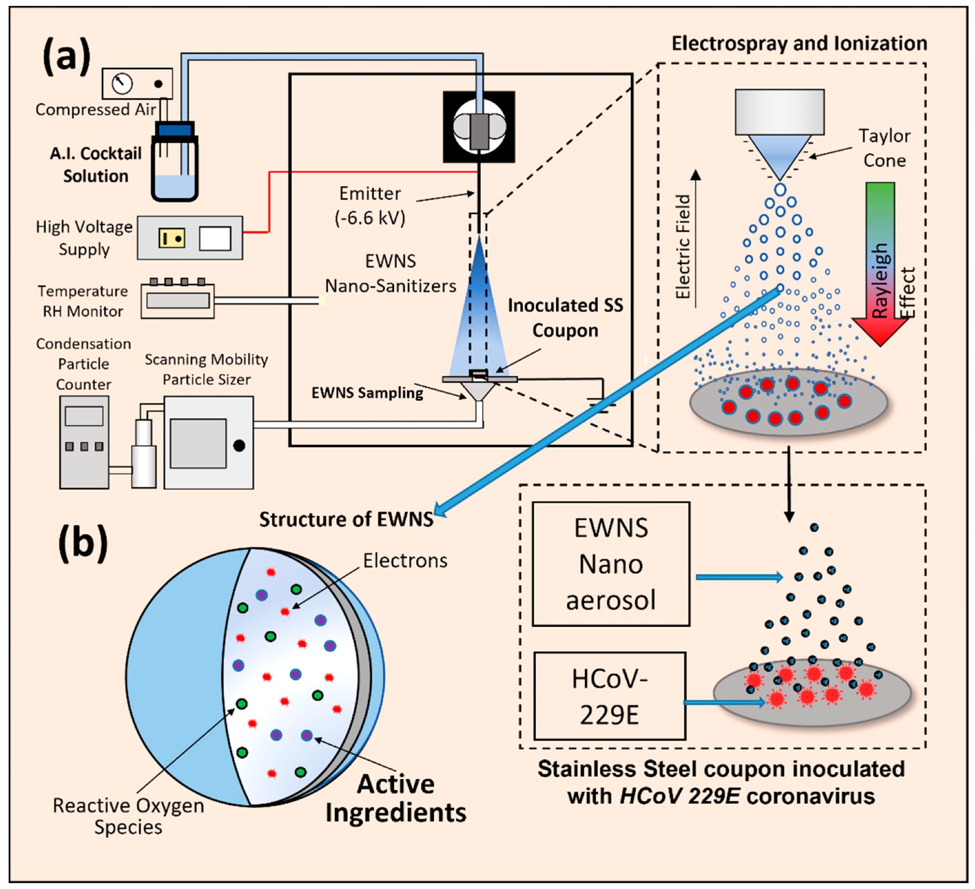 Detailed schematic to represent the generation of EWNS and the treatment of HCoV-229E inoculated surface (a). The structure of an individual EWNS (b) containing the A.I., ROS and charges is also shown.