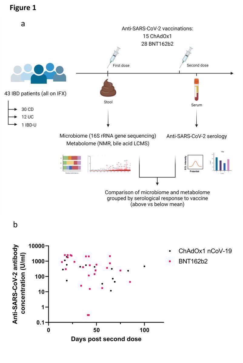 (a) Experimental schema for the study; (b) Anti-SARS-CoV-2 spike RBD antibody concentrations in patients receiving ChAdOx1 nCoV-19 (black dots) or BNT162b2 (pink squares). Each point represents a single patient plotted the number of days after second dose of vaccine when their antibody level was measured