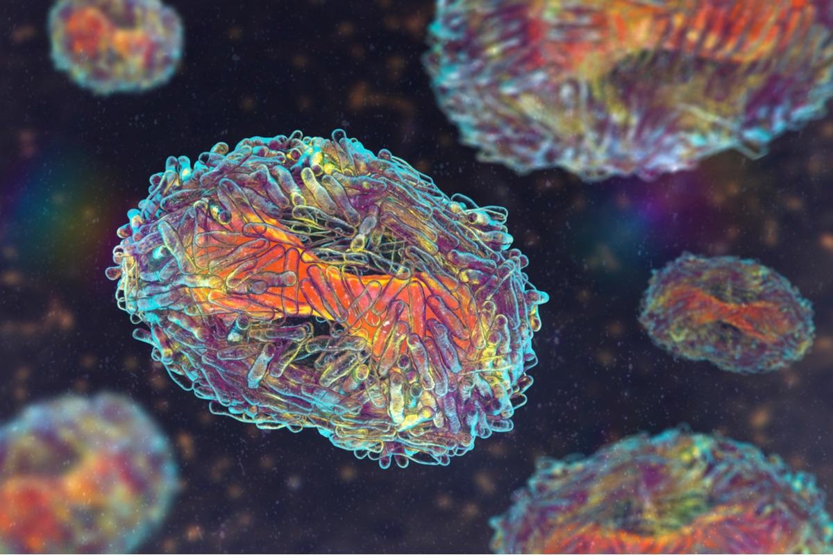 Study: Multi-country outbreak of monkeypox virus: phylogenomic characterization and signs of microevolution. Image Credit: Kateryna Kon/Shutterstock