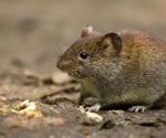 A new coronavirus found in Swedish bank voles