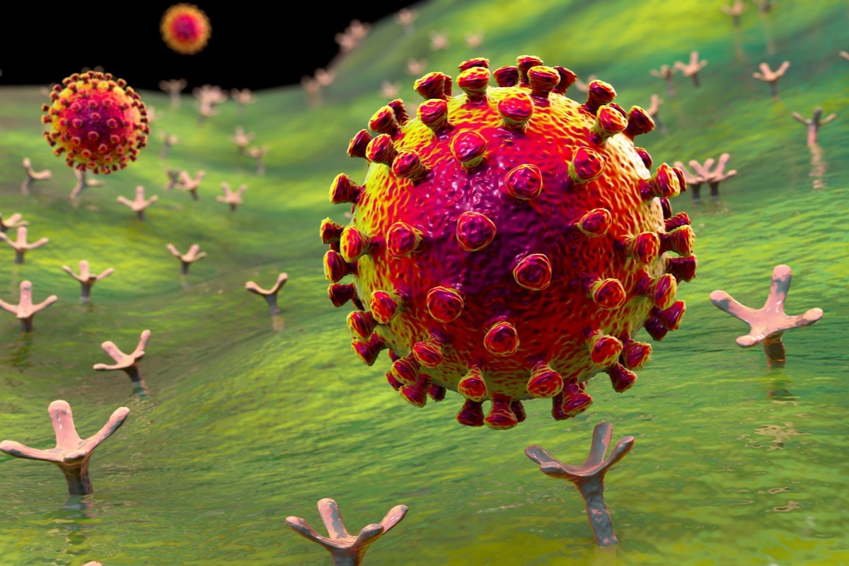 Study: Compensatory epistasis maintains ACE2 affinity in SARS-CoV-2 Omicron BA.1. Image Credit: Kateryna Kon/Shutterstock