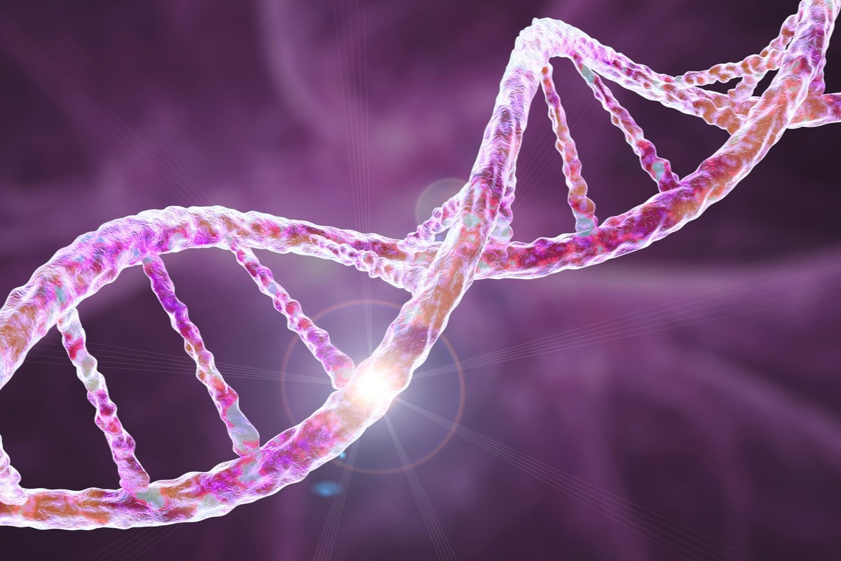 Image Credit: Kateryna Kon/Shutterstock.com