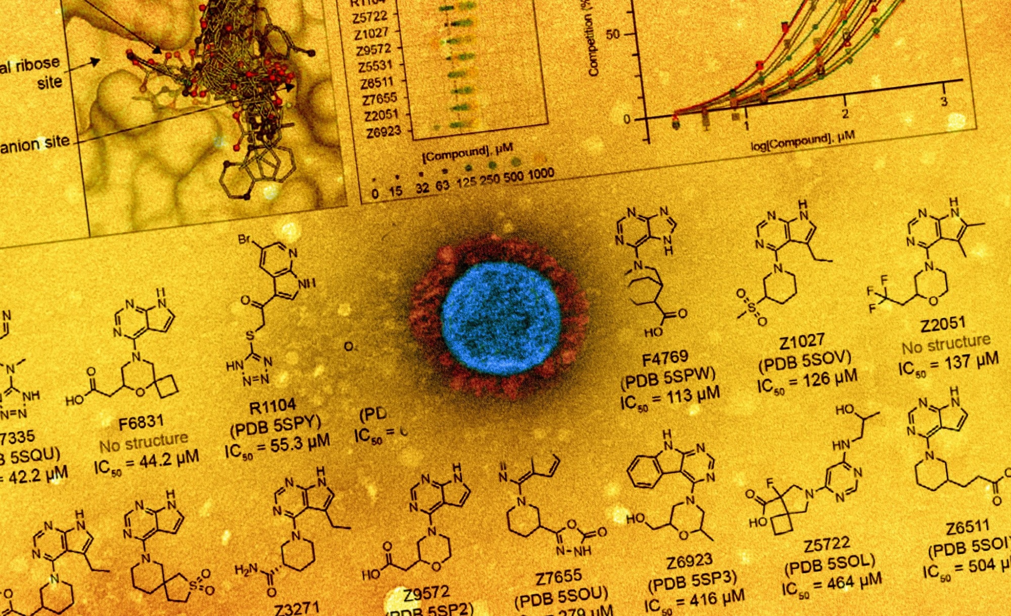 Study: Structure-based inhibitor optimization for the Nsp3 Macrodomain of SARS-CoV-2. Image Credit: NIAID