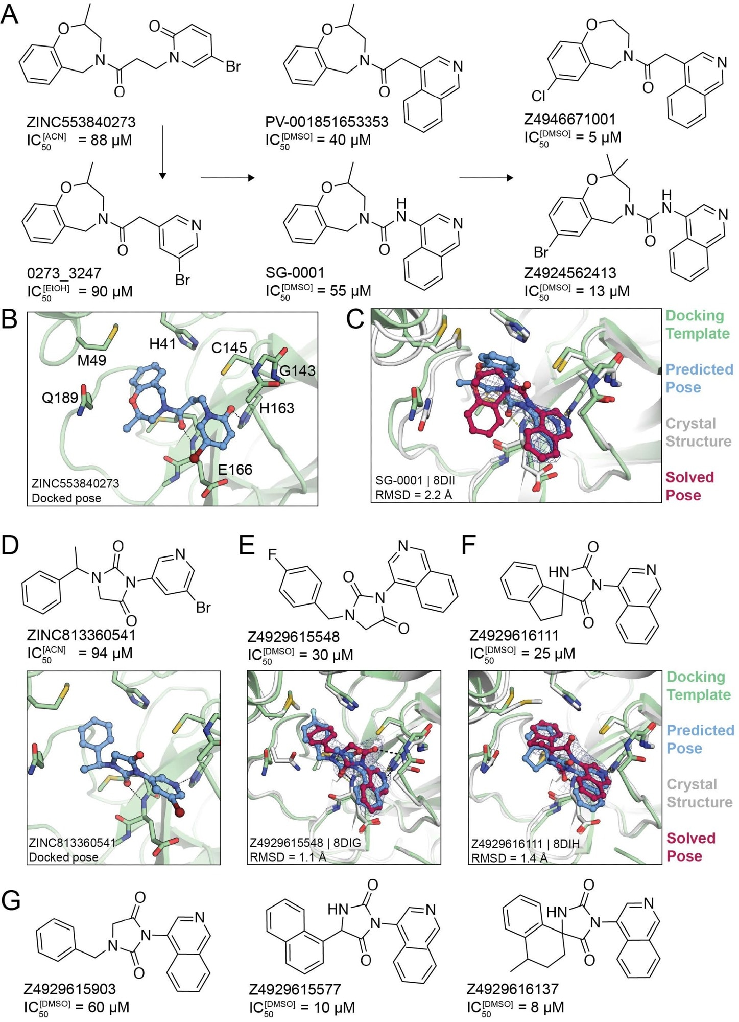 Non-covalent compound optimization to low-μM potencies. (A) Progression of the ‘0273 scaffold. (B) Predicted binding pose of ‘0273. (C) Comparison of crystal structure (grey protein, red compound) and docked complex (green protein, blue compound) of SG-0001 (PDB 8DII). (D) Predicted binding pose of ‘0541. (E), (F) Comparison of crystal structures and docked complexes of ‘5548 (PDB 8DIG) and ‘6111 (PDB 8DIH), respectively. (G) Additional ‘0541 analogs with improved affinities. The 2fo-fc ligand density maps (blue contour) are shown at 1 s. Hungarian root mean square deviations (RMSD) were calculated with DOCK6.