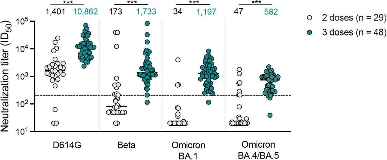 Neutralization of SARS-CoV-2 variants by NVX-CoV2373 vaccinee plasma. Neutralization of ancestral D164G, Beta, Omicron BA.1 and Omicron BA.4/BA.5 pseudoviruses by NVX-CoV2373 vaccinee plasma following 2 (grey) or 3 (teal) doses. Geometric mean titers (GMT) for each virus are shown above the individual points, and percent of specimens where no neutralization was observed (red) is indicated in the pie charts. Number of vaccinee specimens tested are indicated and p values were calculated using the Mann-Whitney t-test for non-parametric data with p < 0,001 for D614G, Beta, Omicron BA.1 and Omicron BA.4/BA.5. Dashed line indicates the neutralization level at 20.2% of the mean convalescent level (ID50 = 200), which provides an estimated 50% protection against detectable SARS-CoV-2 infection per the analysis by Khoury et al15. Samples were used at a starting dilution of 1 in 20 (limit of detection) with a seven 3-fold dilutions to create a titration series.