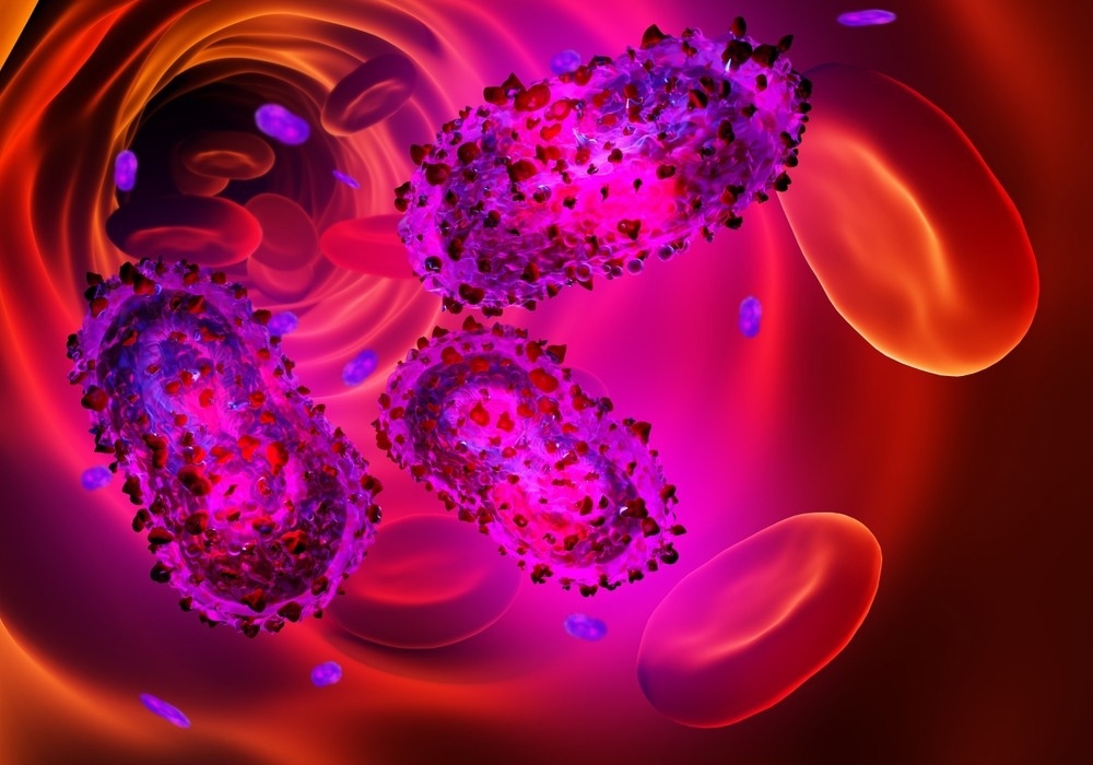 Study: Evidence of human-to-dog transmission of monkeypox virus. Image Credit: FOTOGRIN / Shutterstock.com