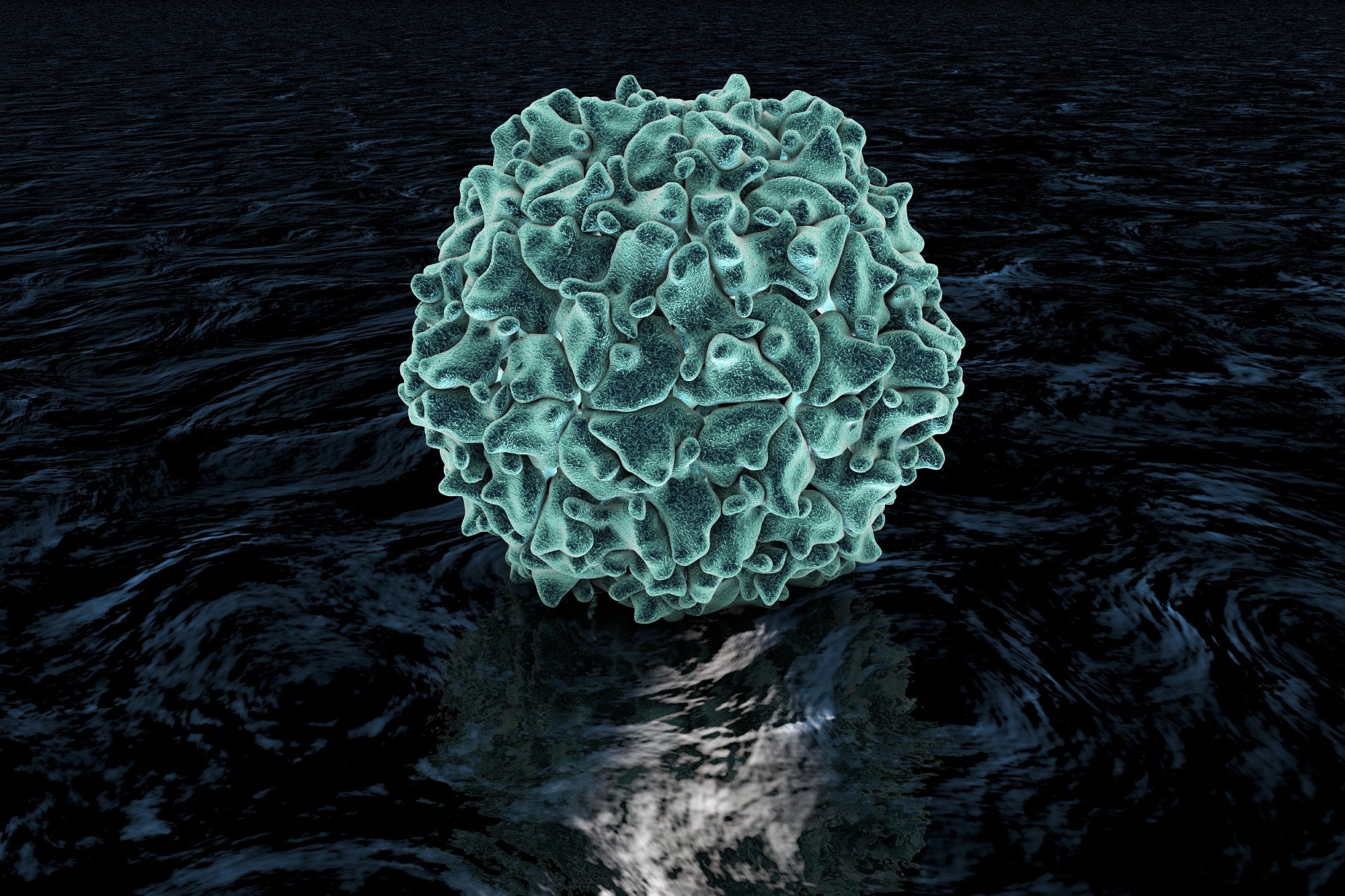 Study: Public Health Response to a Case of Paralytic Poliomyelitis in an Unvaccinated Person and Detection of Poliovirus in Wastewater — New York, June–August 2022. Image Credit: Maryna Olyak/Shutterstock