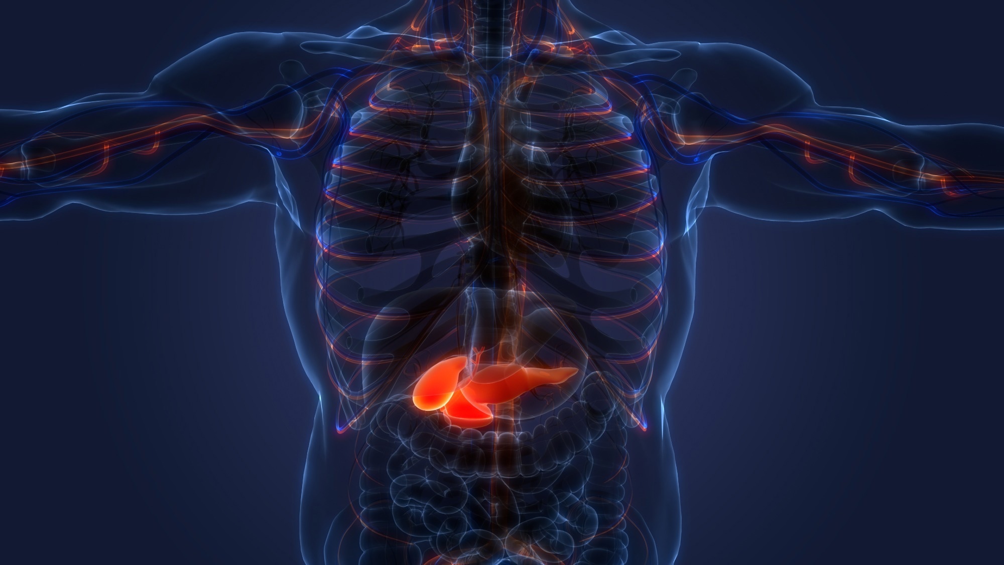Study: A single-nucleus and spatial transcriptomic atlas of the COVID-19 liver reveals topological, functional, and regenerative organ disruption in patients. Image Credit: Magic mine/Shutterstock