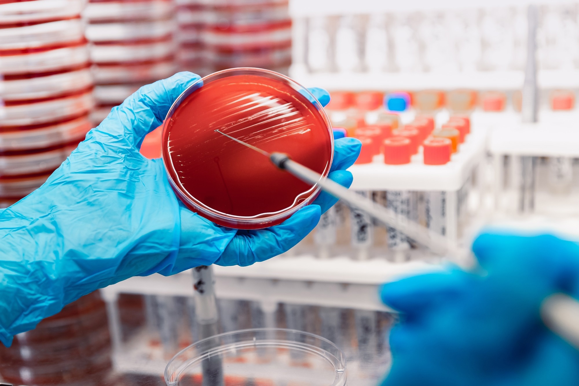 Image Credit: Parilov/Shutterstock