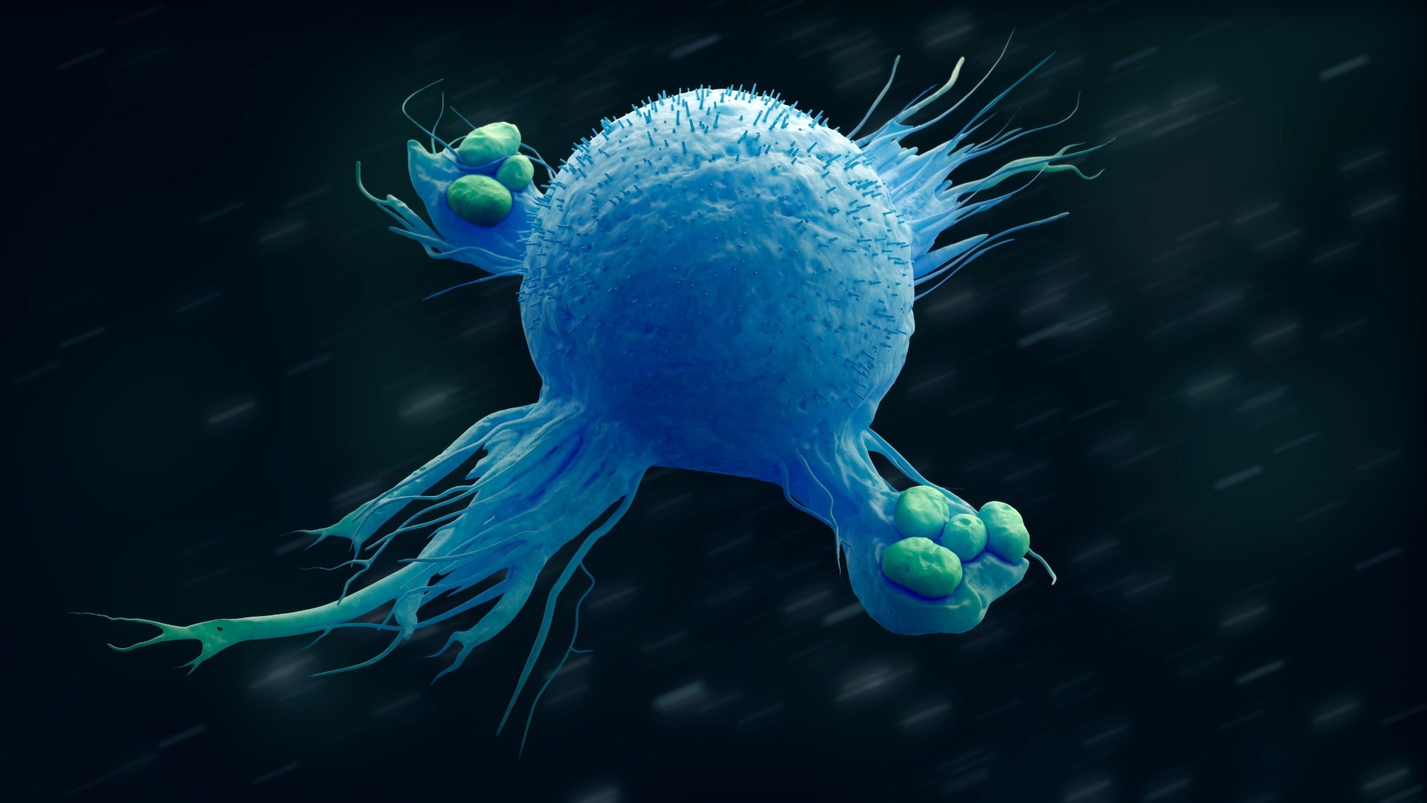 Study: Macrophages in health and disease. Image Credit: urfin/Shutterstock