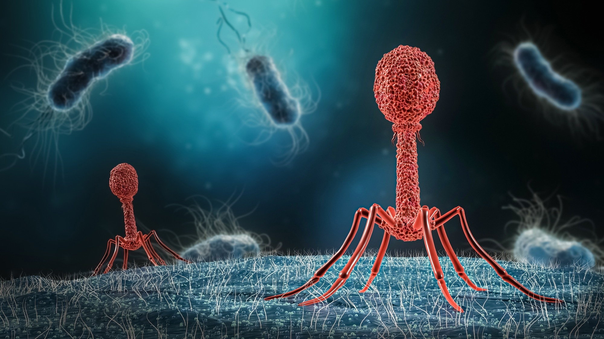 Study: Synthetic engineering and biological containment of bacteriophages. Image Credit: MattLphotography/Shutterstock