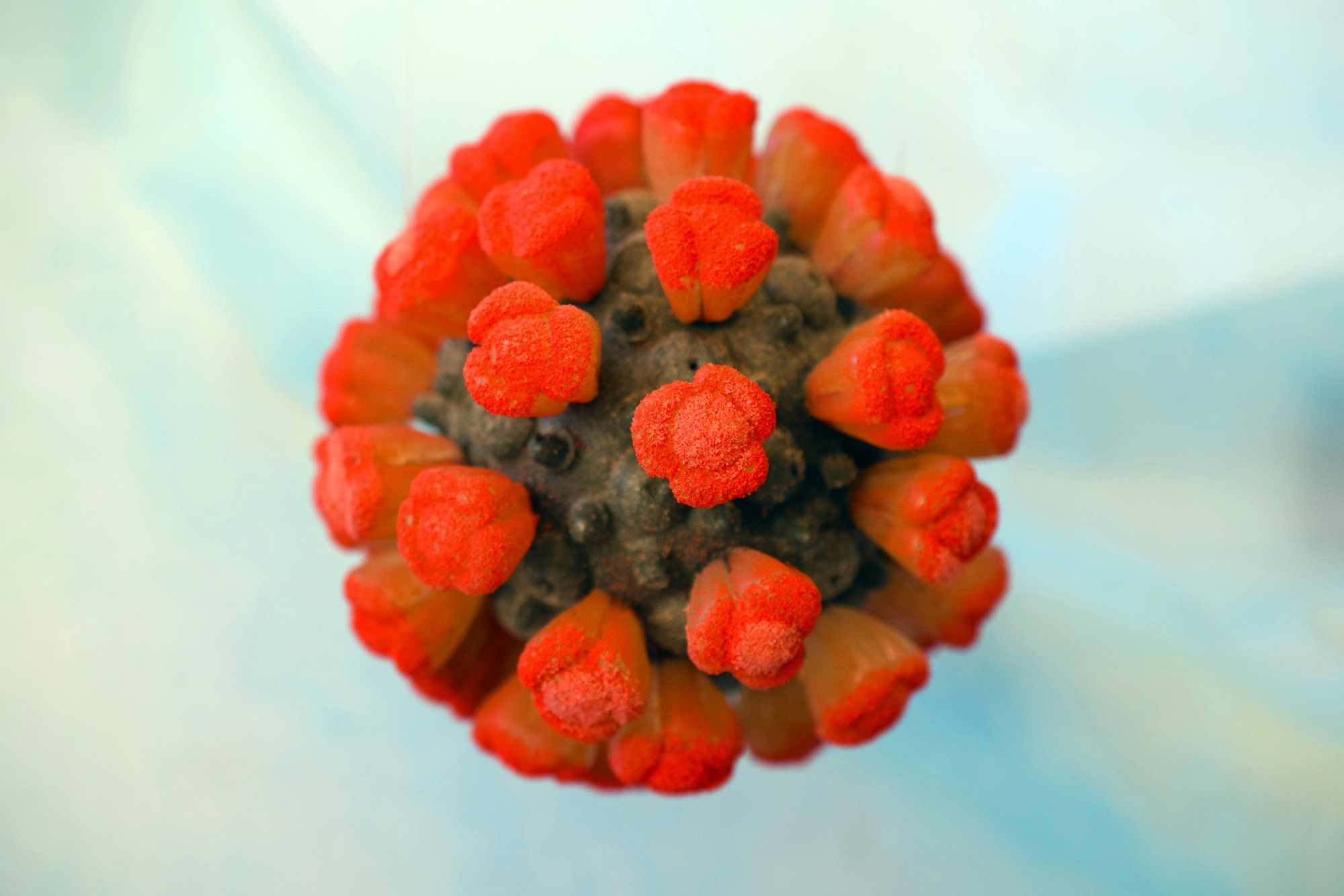 Study: Direct Cryo-ET observation of platelet deformation induced by SARS-CoV-2 Spike protein. Image Credit: Sergejs Pintis/Shutterstock