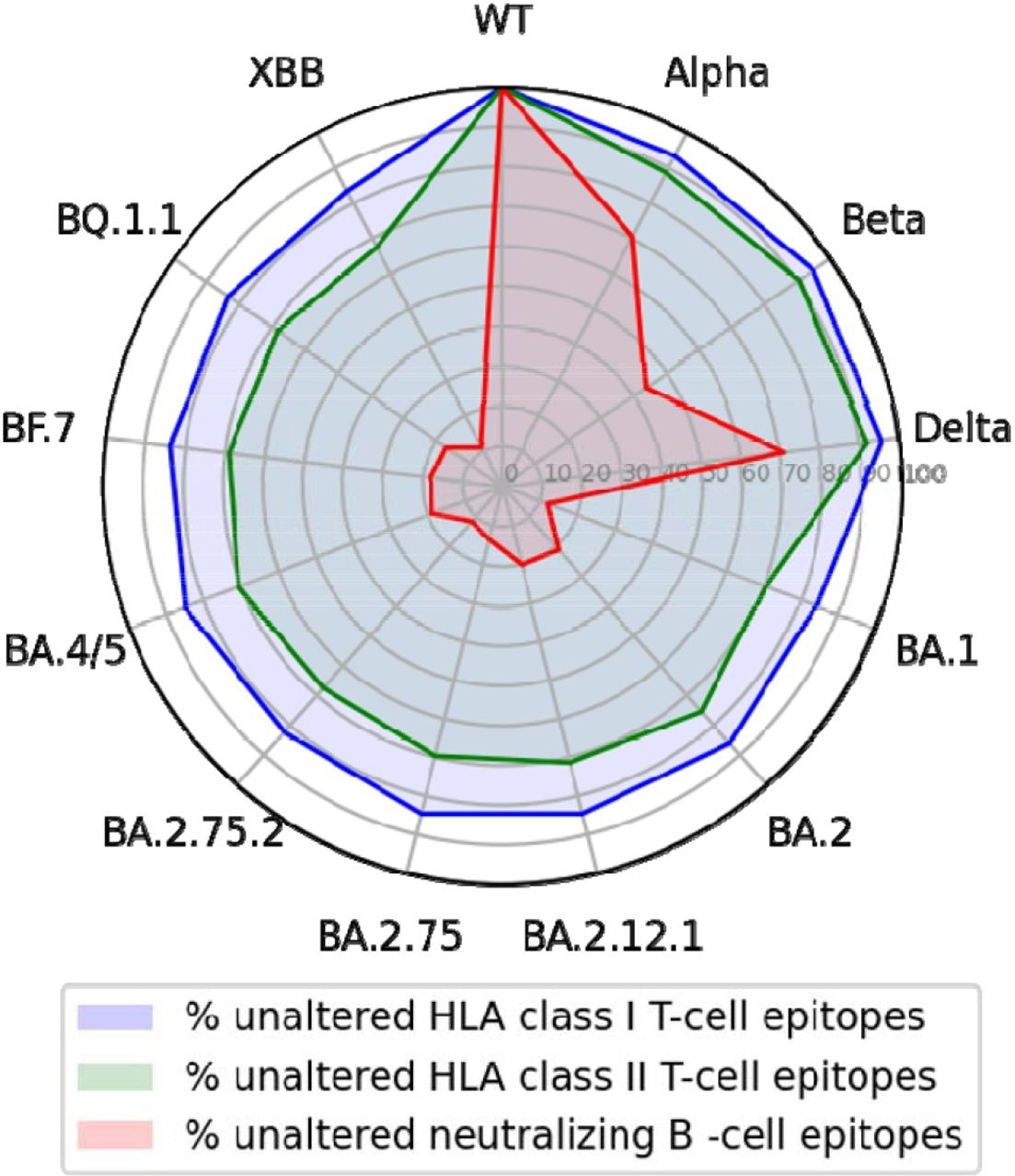 T-cell epitopes of the wild-type SARS-CoV-2 S glycoprotein but not epitopes for neutralizing antibodies are largely conserved across variants.