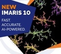 Imaris launches 10.0, an AI-powered software for fast and accurate detection of neurons, microglia and blood vessels